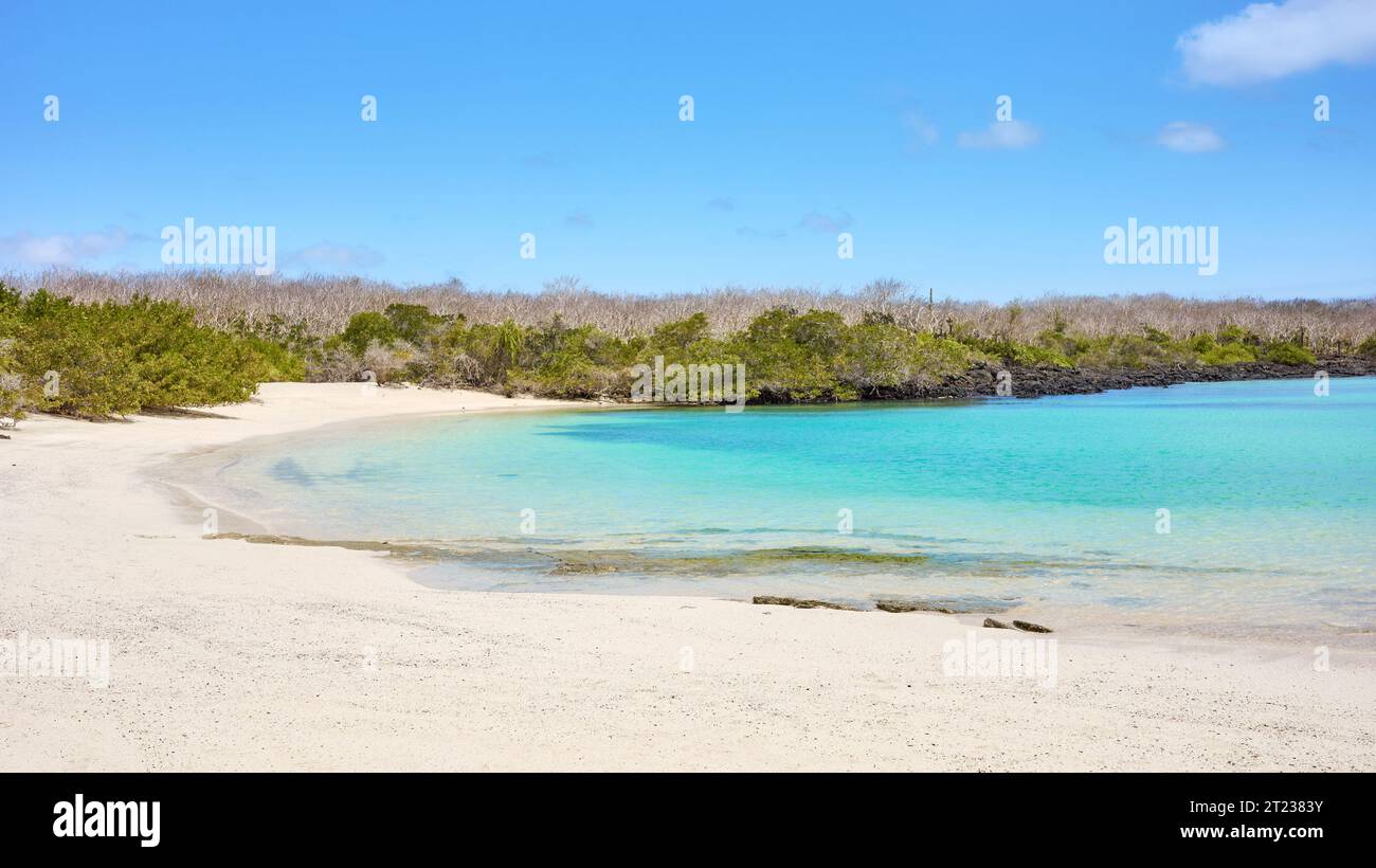 Empty beach on a beautiful uninhabited island, front focus,  Galapagos Islands, Ecuador. Stock Photo
