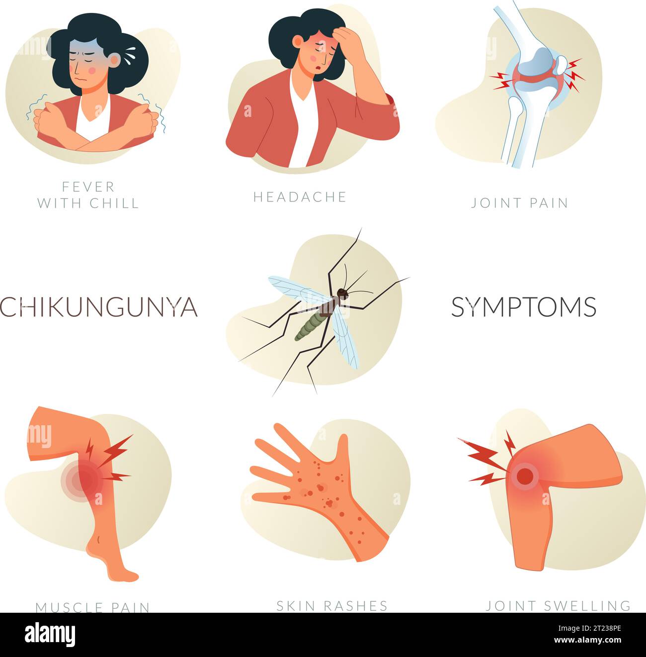 Illustrated Chikungunya Virus Symptoms with Fever and Joint Pain