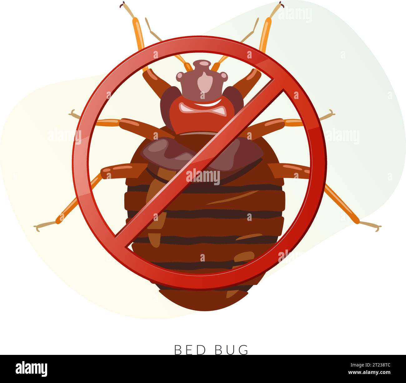 Remove Bed Bugs Genus Cimex Stock Illustration as EPS 10 File Stock