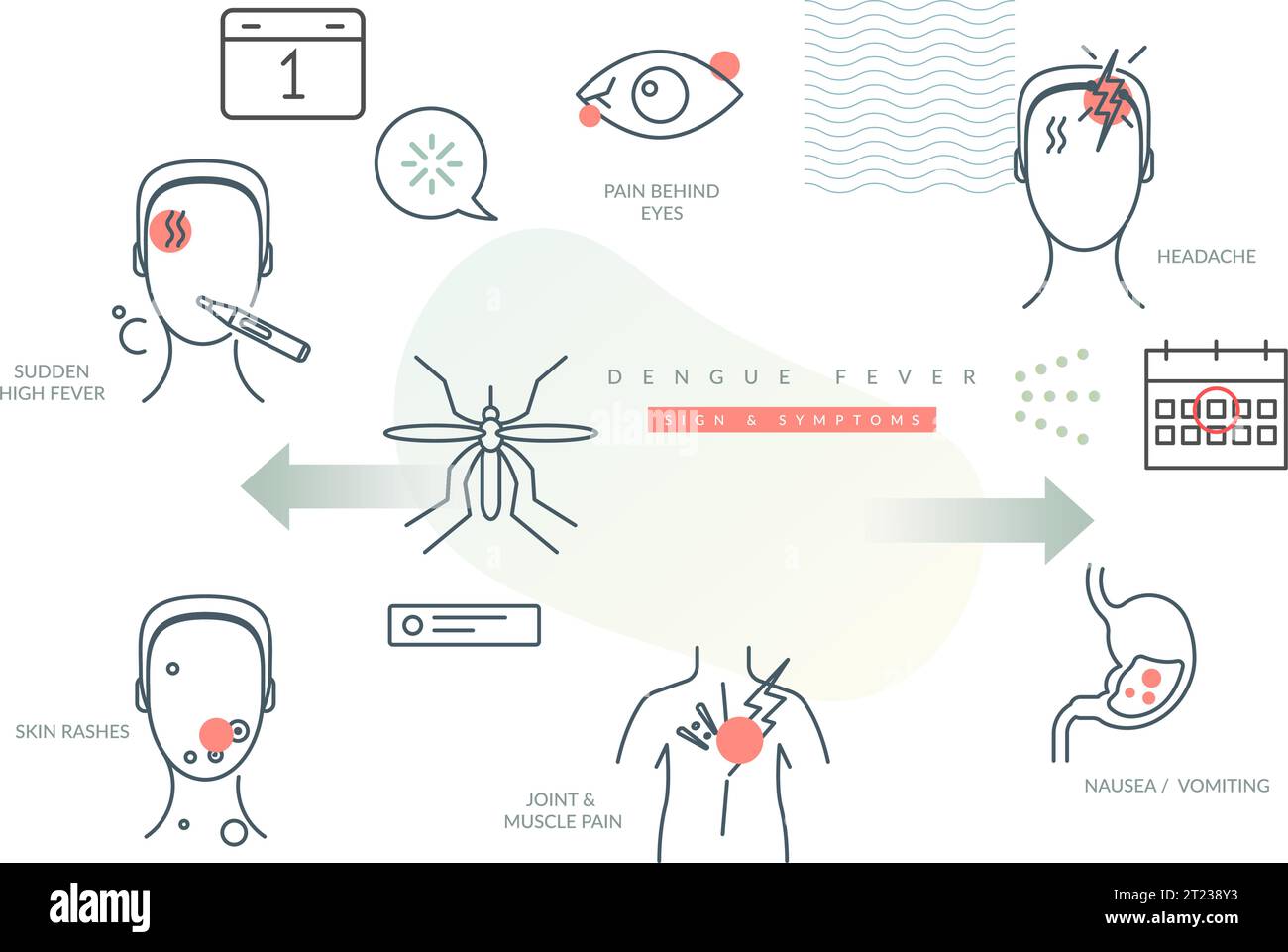 Dengue fever prevention Stock Vector Images Alamy