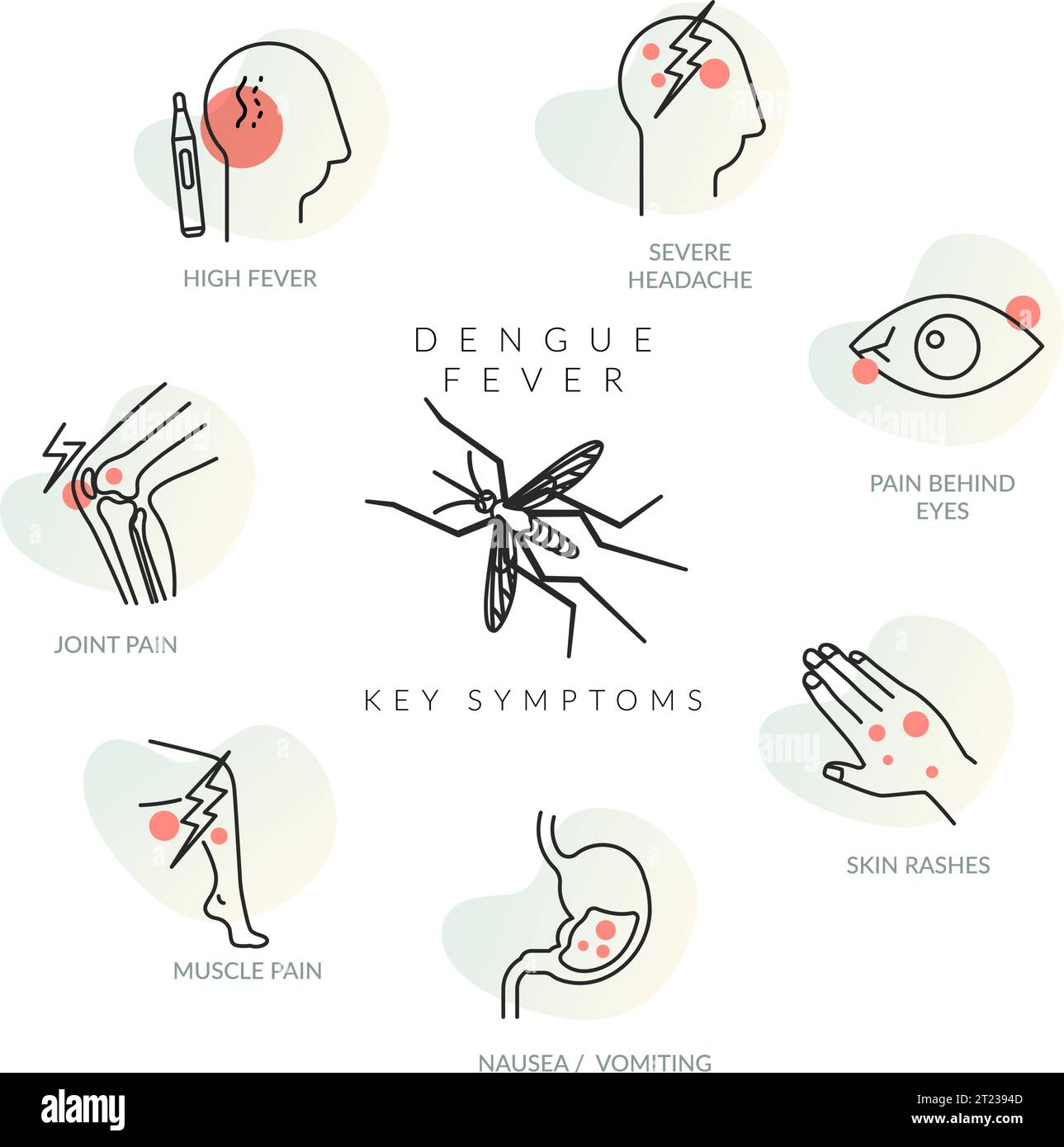 Dengue fever prevention Stock Vector Images Alamy