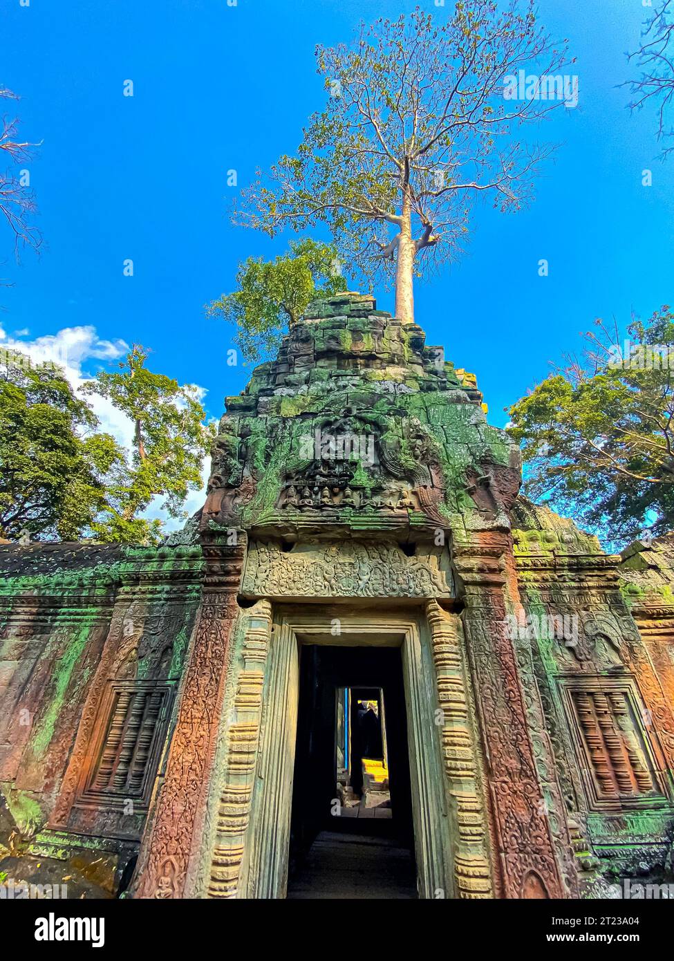 Ta Prohm, a mysterious temple of the Khmer civilization, located on the territory of Angkor in Cambodia. Stock Photo