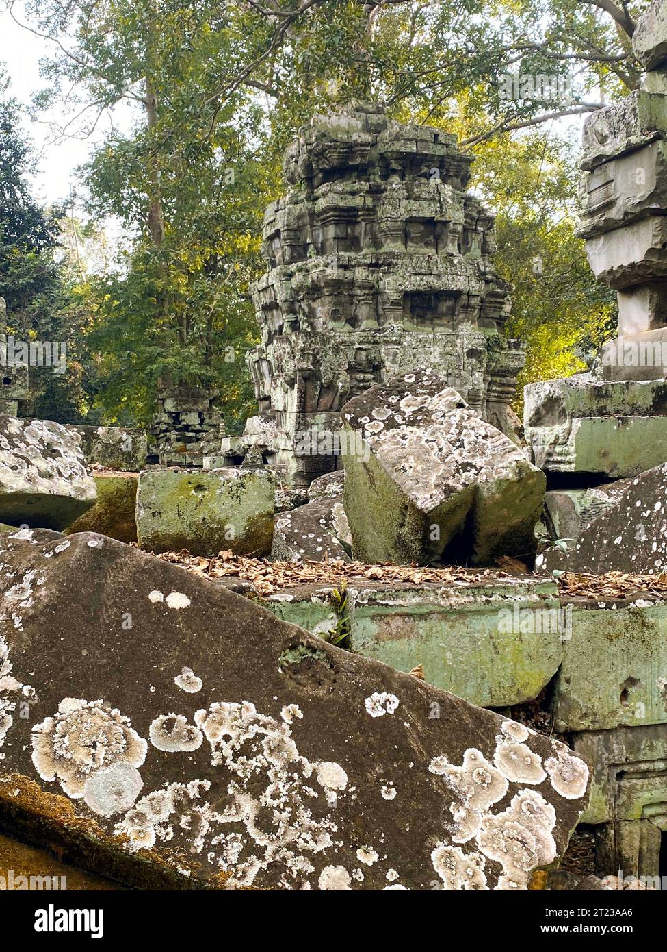 Ta Prohm, a mysterious temple of the Khmer civilization, located on the territory of Angkor in Cambodia. Stock Photo