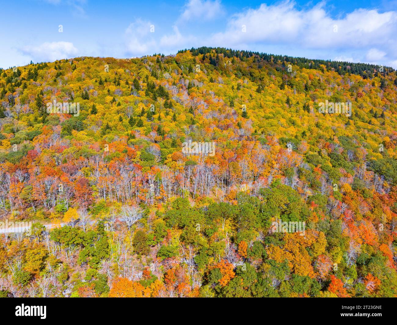 An aerial view of Spruce Knob, West Virginia with lush fall foliage