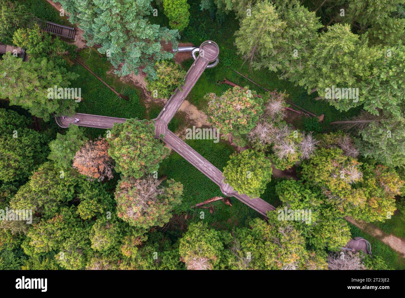 Kam, Hungary - Aerial top down view about the Jeli Arboretum canopy ...