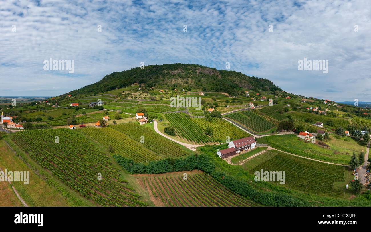 Panoramic aerial photo about Somlo hill with vineyards and cloudy sky. Stock Photo