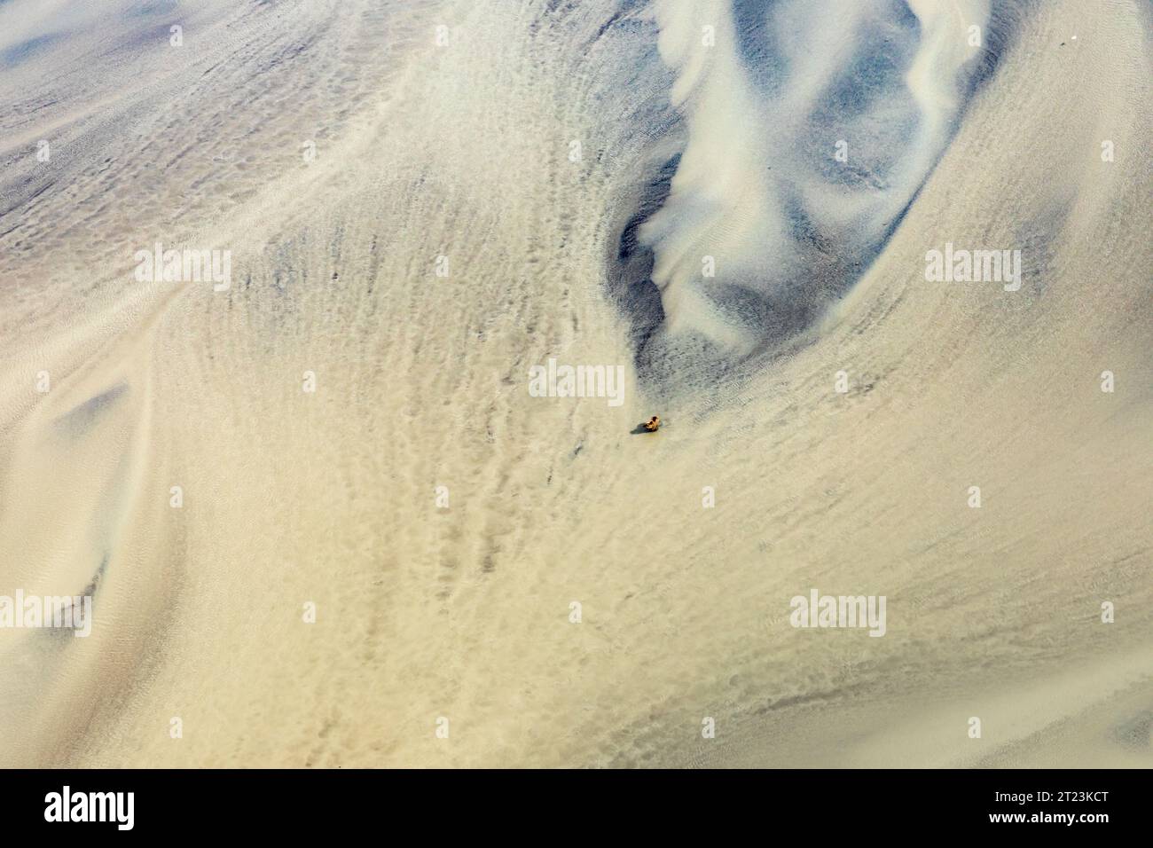 Abstract aerial view of grizzly bear, Ursus arctos horribilis, foraging for clams in a tidal river delta Stock Photo