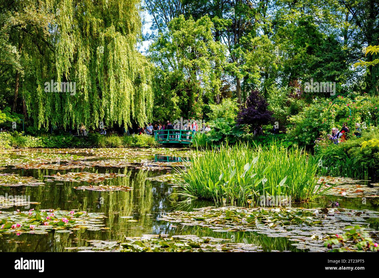 The iconic Water Lily Pond with water lilies and trees at Giverny, the ...