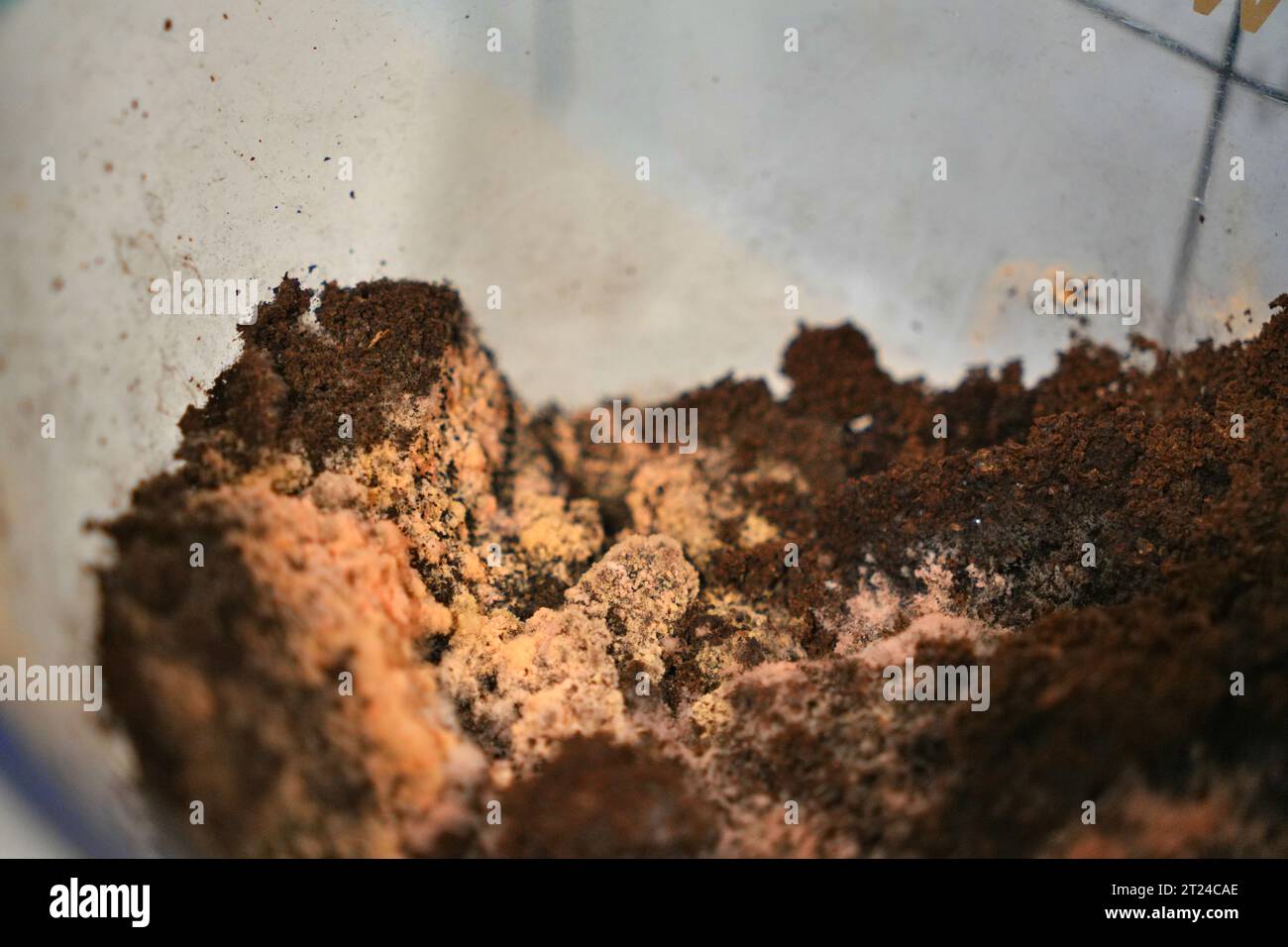 Food microbiology analysis hires stock photography and images Alamy