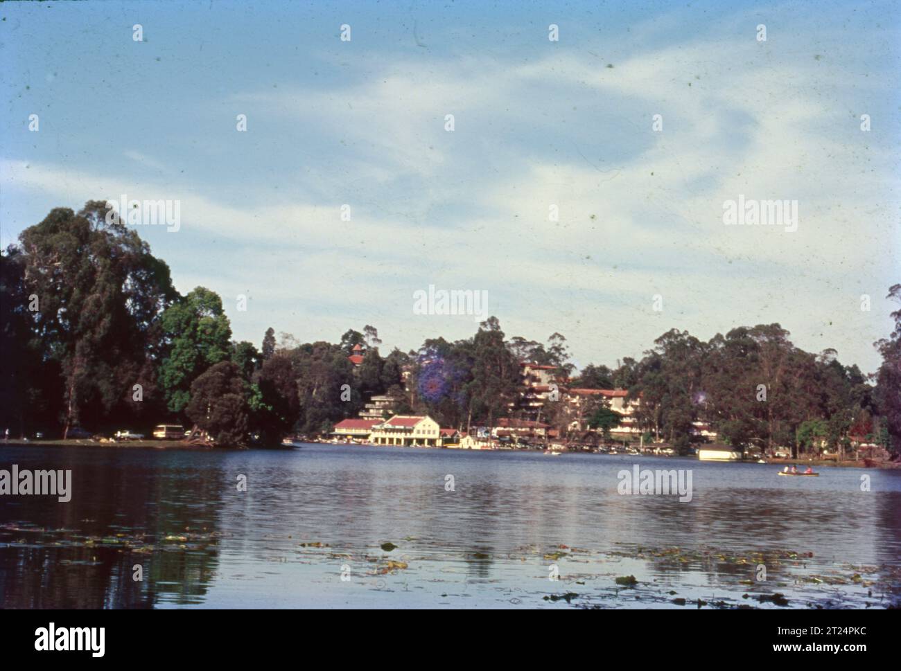 kodaikanal-lake-also-known-as-kodai-lake-is-a-manmade-lake-located-in