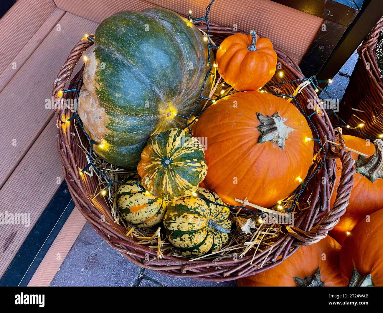 Orange and green pumpkins in a basket Stock Photo - Alamy
