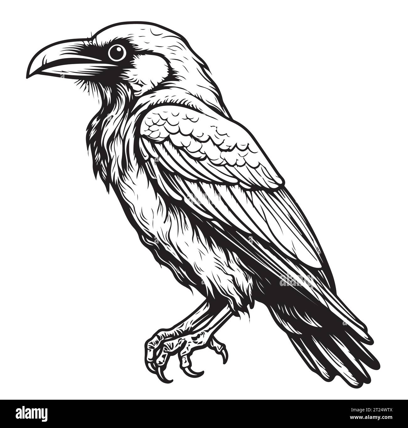 Raven sitting sketch hand drawn Vector Wild birds Stock Vector Image