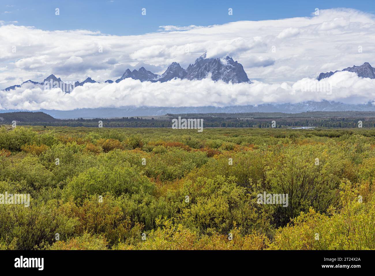 The Teton Range and the Snake River Valley seen from the Cunningham Cabin Stock Photo