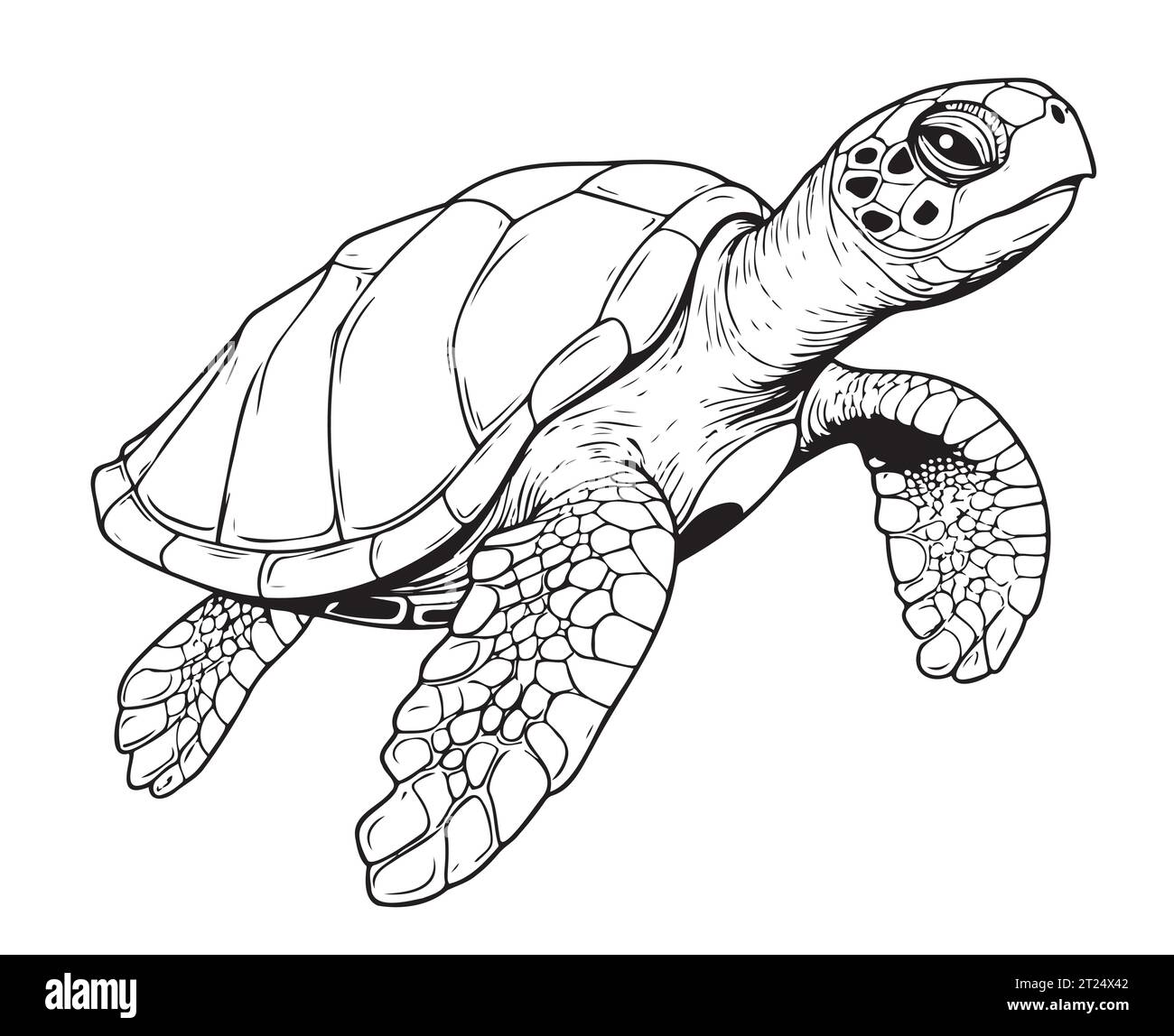 Sea turtle reptile sketch hand drawn in graphic Vector Stock Vector ...