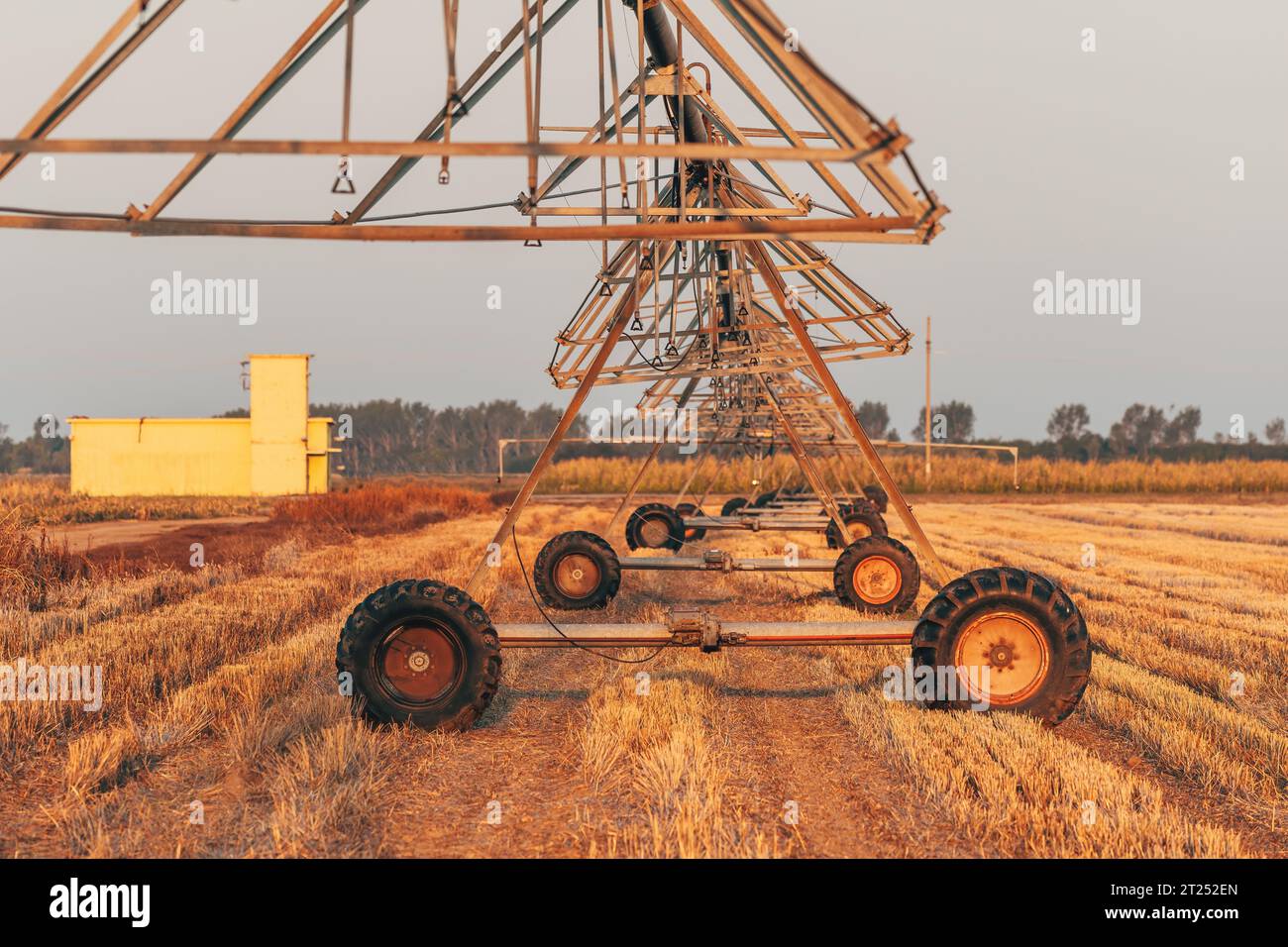Automated farming irrigation sprinklers on cultivated field, selective focus Stock Photo