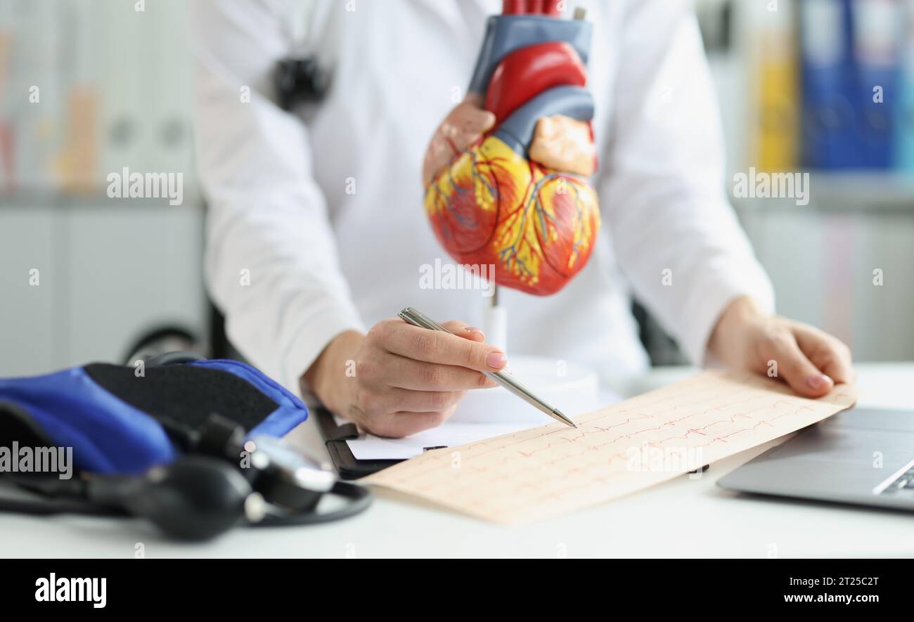 Alat Electrogram Plastic heart model, doctor examine electrogram result, professional ...