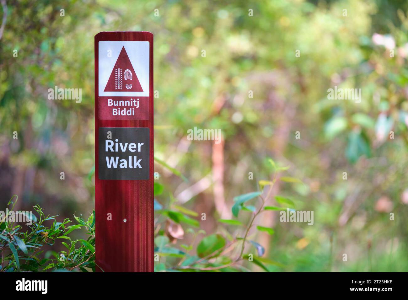 A sign for the Bunnitj Biddi river walk and cycle trail that runs between Rotary Park in Margaret River and 10 Mile Brook Dam, Western Australia. Stock Photo