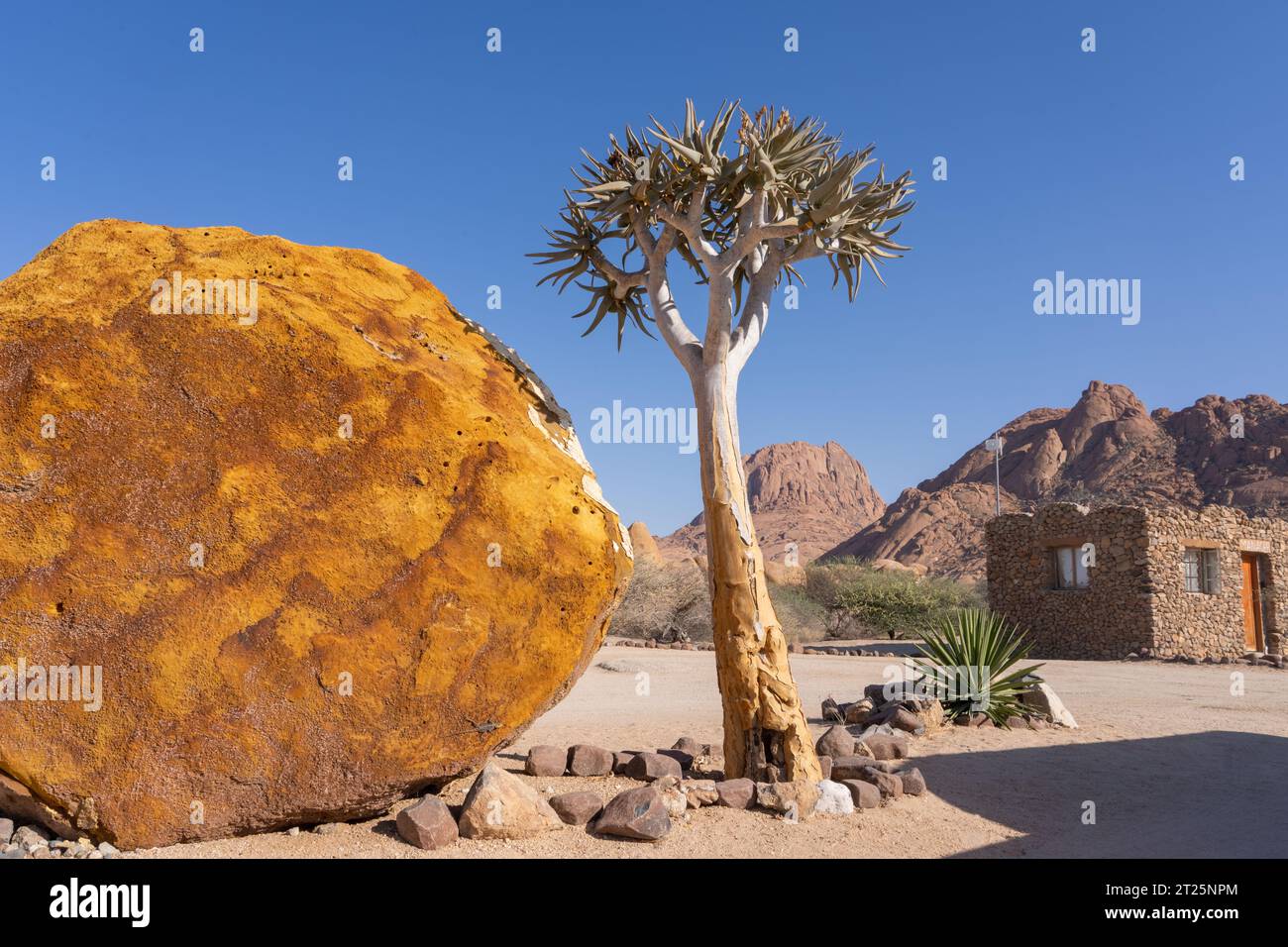 The Quiver Tree Forest (Kokerboomwoud in Afrikaans) is a forest and