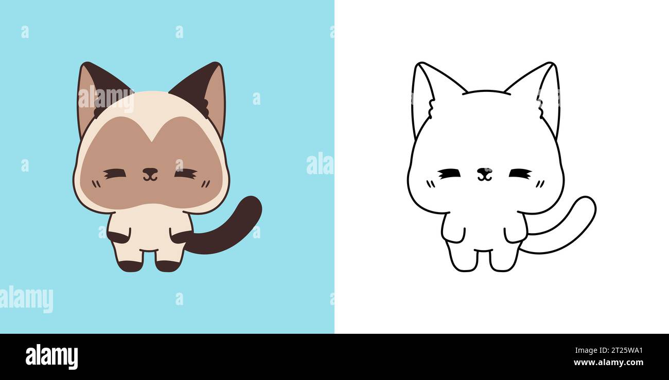 Set Vector Siamese Cat Multicolored and Black and White. Kawaii Clip ...