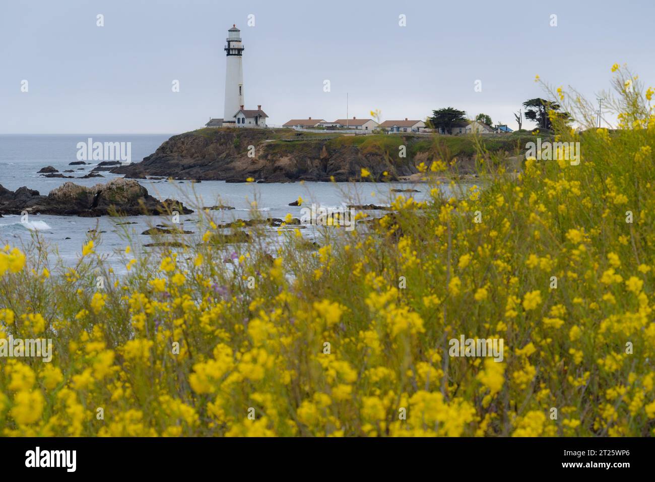 Exploring the California coast Stock Photo - Alamy