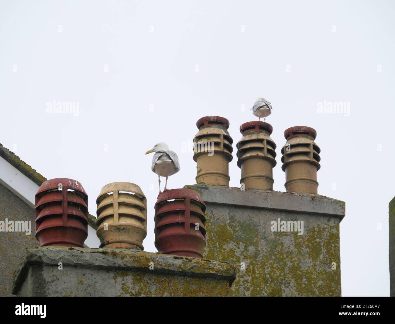 Roof turbine vent hi-res stock photography and images - Alamy