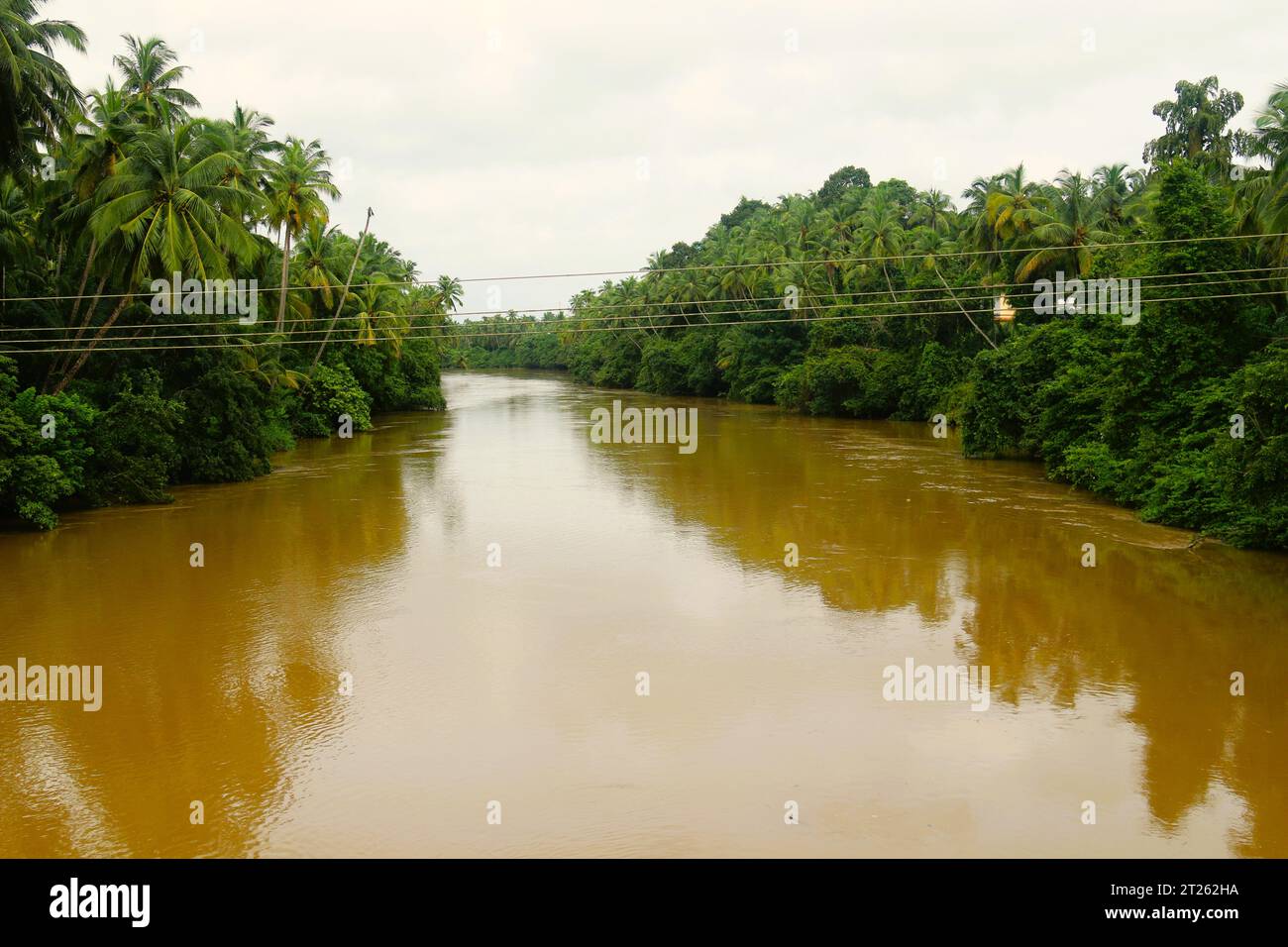 Kerala Back waters during monsoon,. Stock Photo
