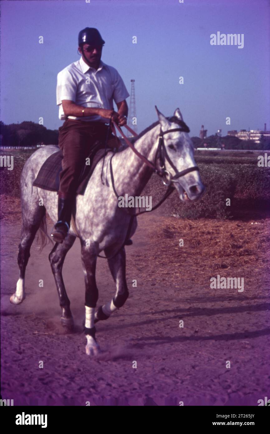 HORSEBACK RIDING WHAT IS EQUESTRIANISM visual data 4