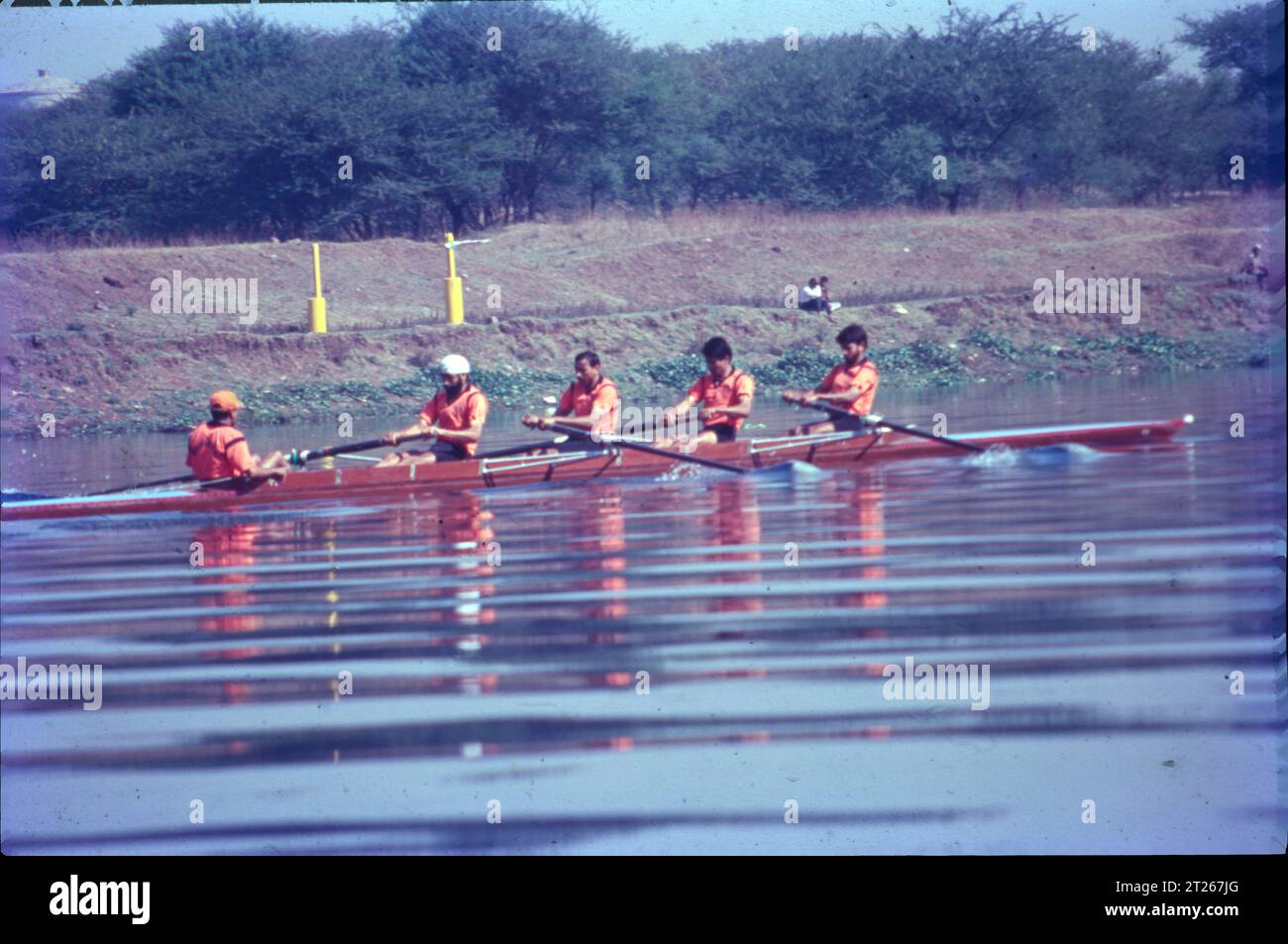 Inland shells hi-res stock photography and images - Alamy