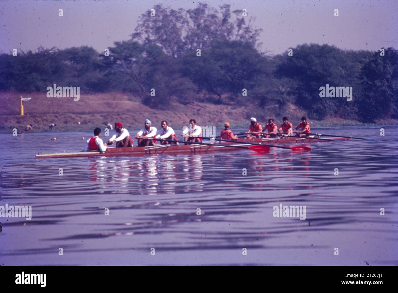 Inland shells hi-res stock photography and images - Alamy