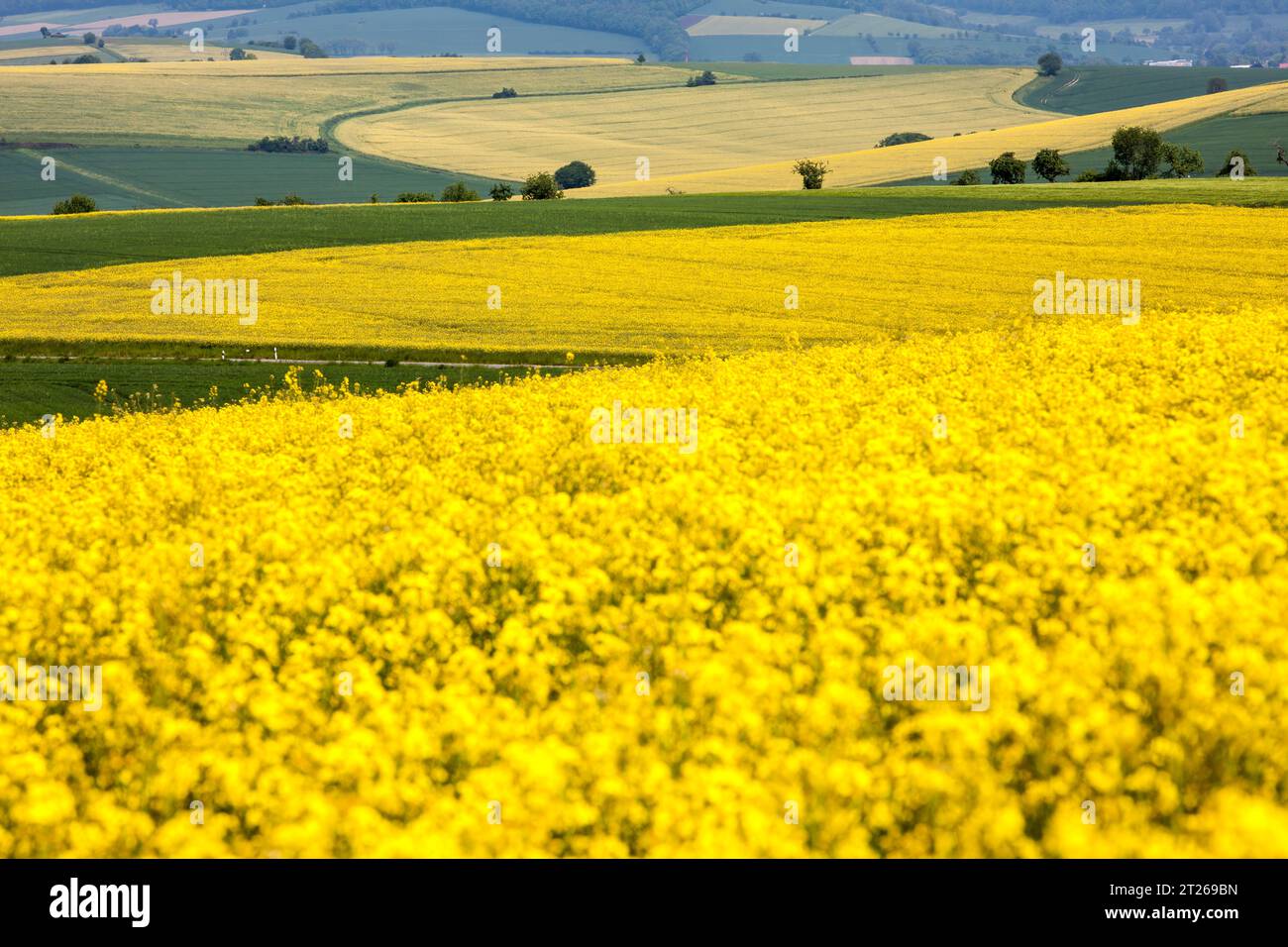 Landscape near Uslar, district of Northeim, Weser Uplands, southern Lower Saxony, Germany, Europe Stock Photo