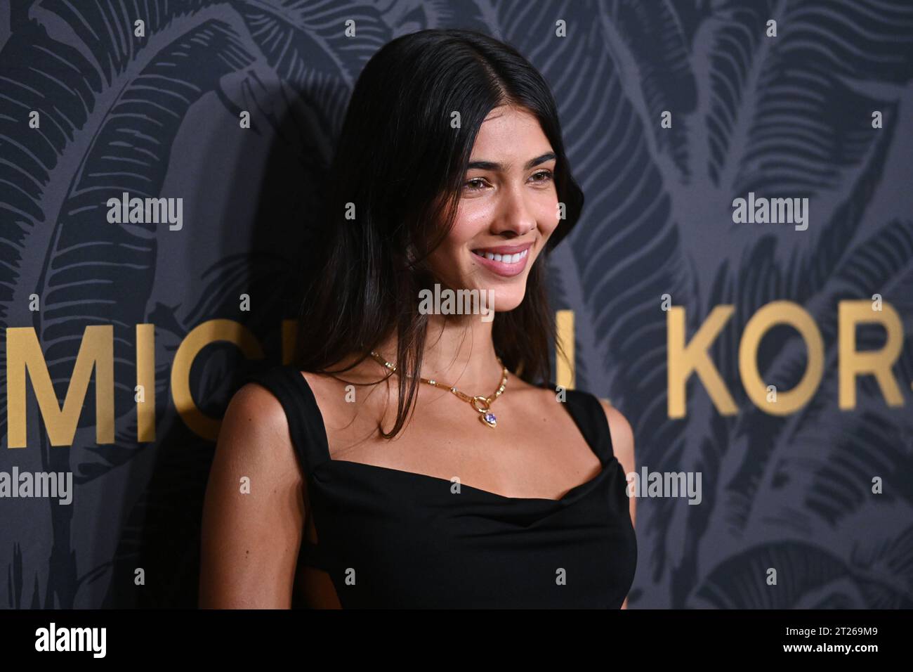 Brittany york hi-res stock photography and images - Alamy