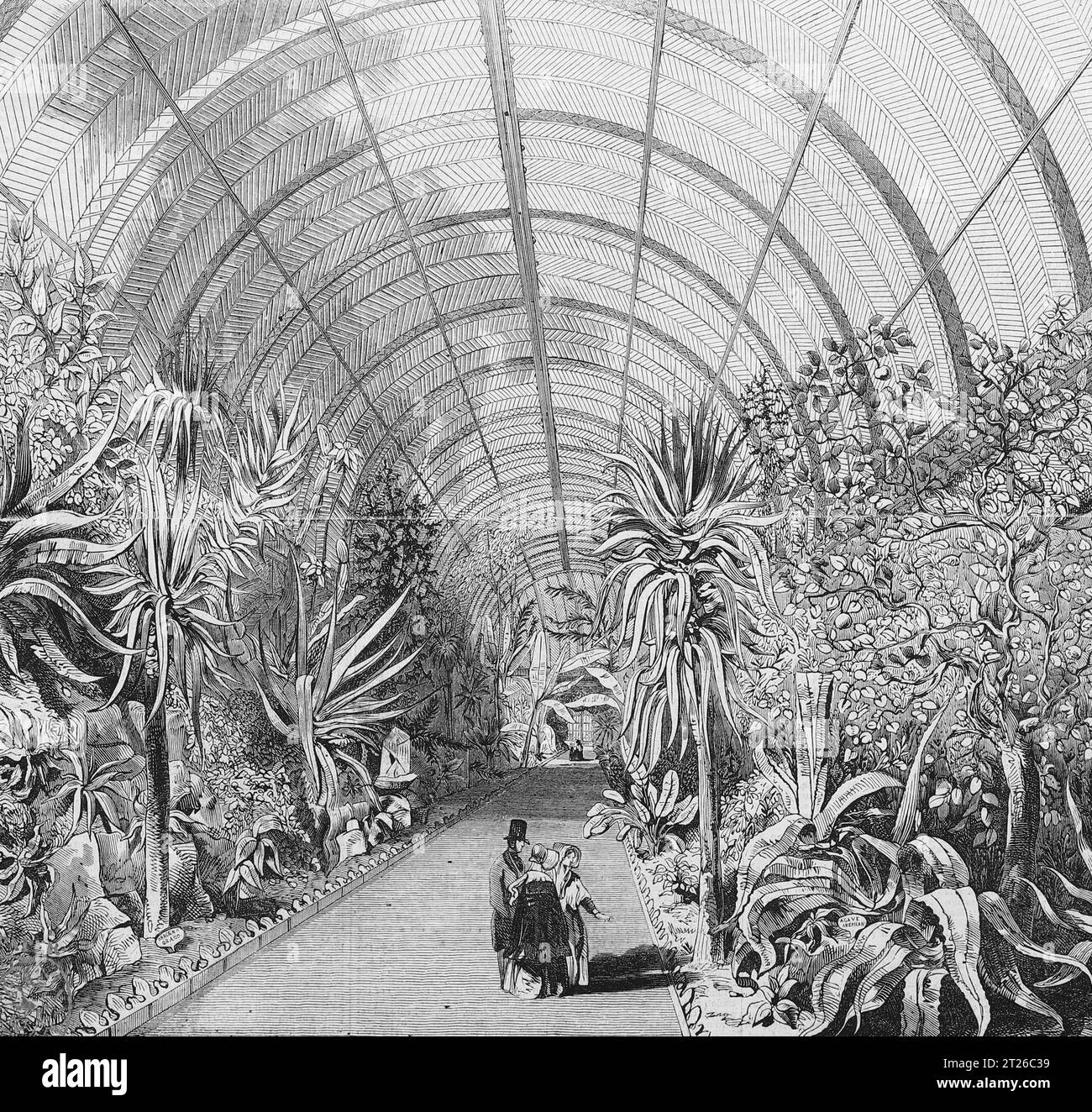 The Great Chatsworth Conservatory; Interior. Chatsworth House, Derbyshire, 1844. Black and White Illustration from the London Illustrated News; 31st August 1844. Stock Photo