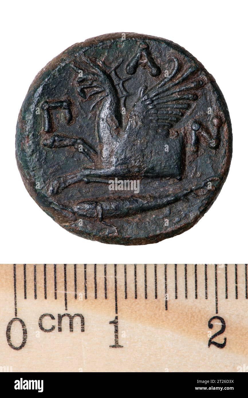 Ancient bronze coin of the Bosporus kingdom. Tetrahalk. Reverse