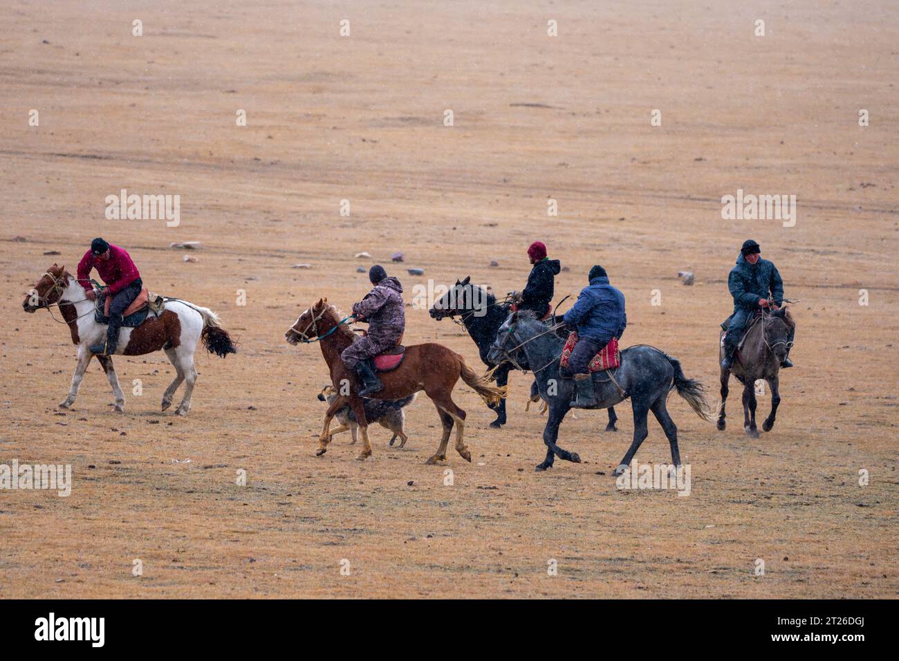 Kok-boru Kyrgyzstan -Buzkashi goat pulling is the national traditional sport in which hich horse-mounted players attempt to place a goat or calf Stock Photo