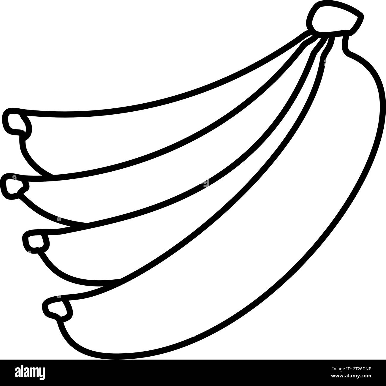 Banana Bunch of Bananas Cartoon Drawing Vector for Teaching