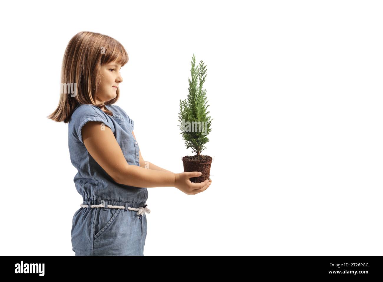 Profile shot of a little girl holding a small evergreen tree pot isolated on white background Stock Photo