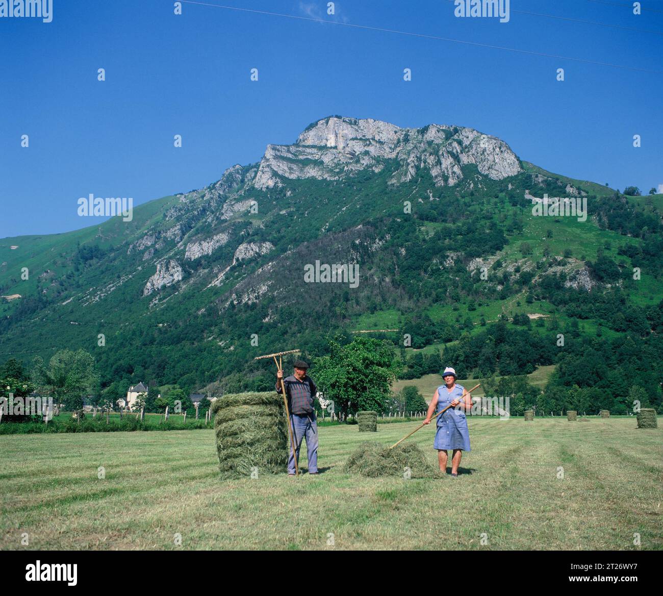 France. Aquitaine. Farmers in the Pyrenees. Near Arudy. Stock Photo
