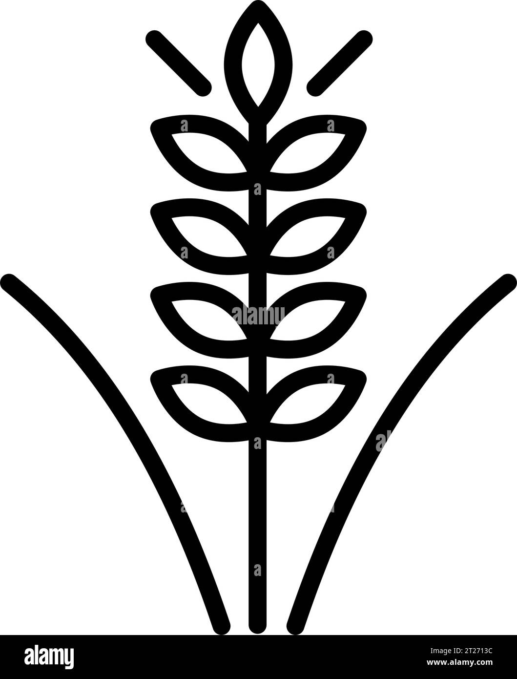 Vector farm wheat ears outline icon template. Linear whole grain symbol illustration. Farm agriculture oat sign. Simple oat growth design concept. Stock Vector