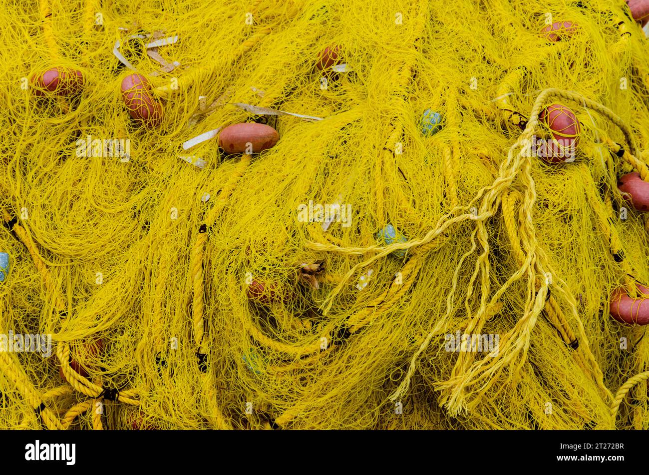 Fishnet closeup hi-res stock photography and images - Page 3 - Alamy