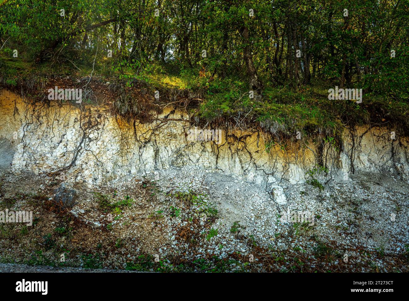 Soil erosion exposes plant roots and vegetation to the open air. Sirente Regional Park, Abruzzo, Italy, Europe Stock Photo