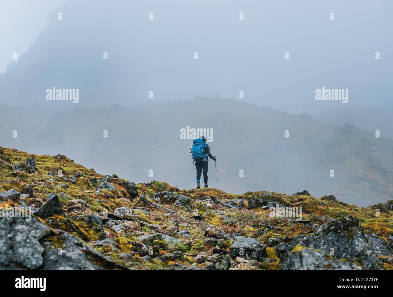 Lonely woman with backpack and trekking poles going by mountain route during Makalu Barun National Park near Tuli Kharka settlement trek in Nepal. Mou Stock Photo