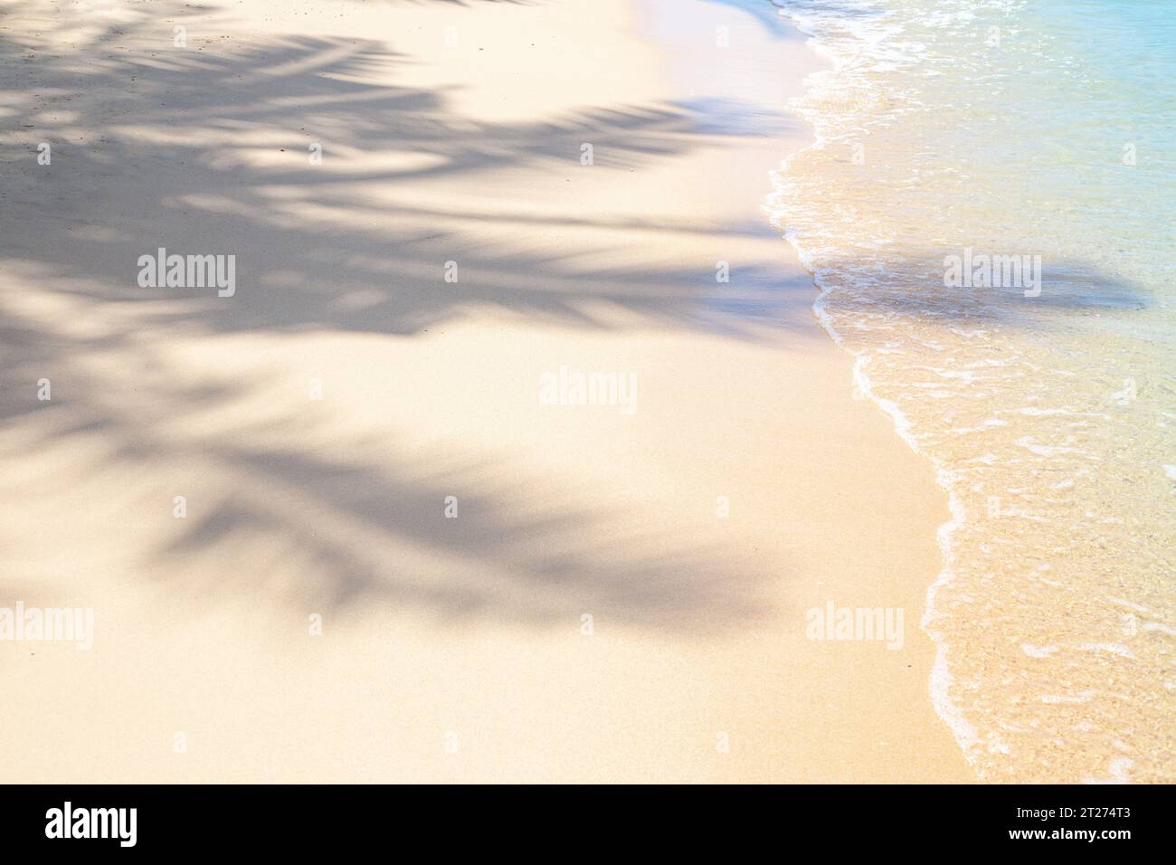 Palm tree shadow on white sand with sea water. Tropical background ...