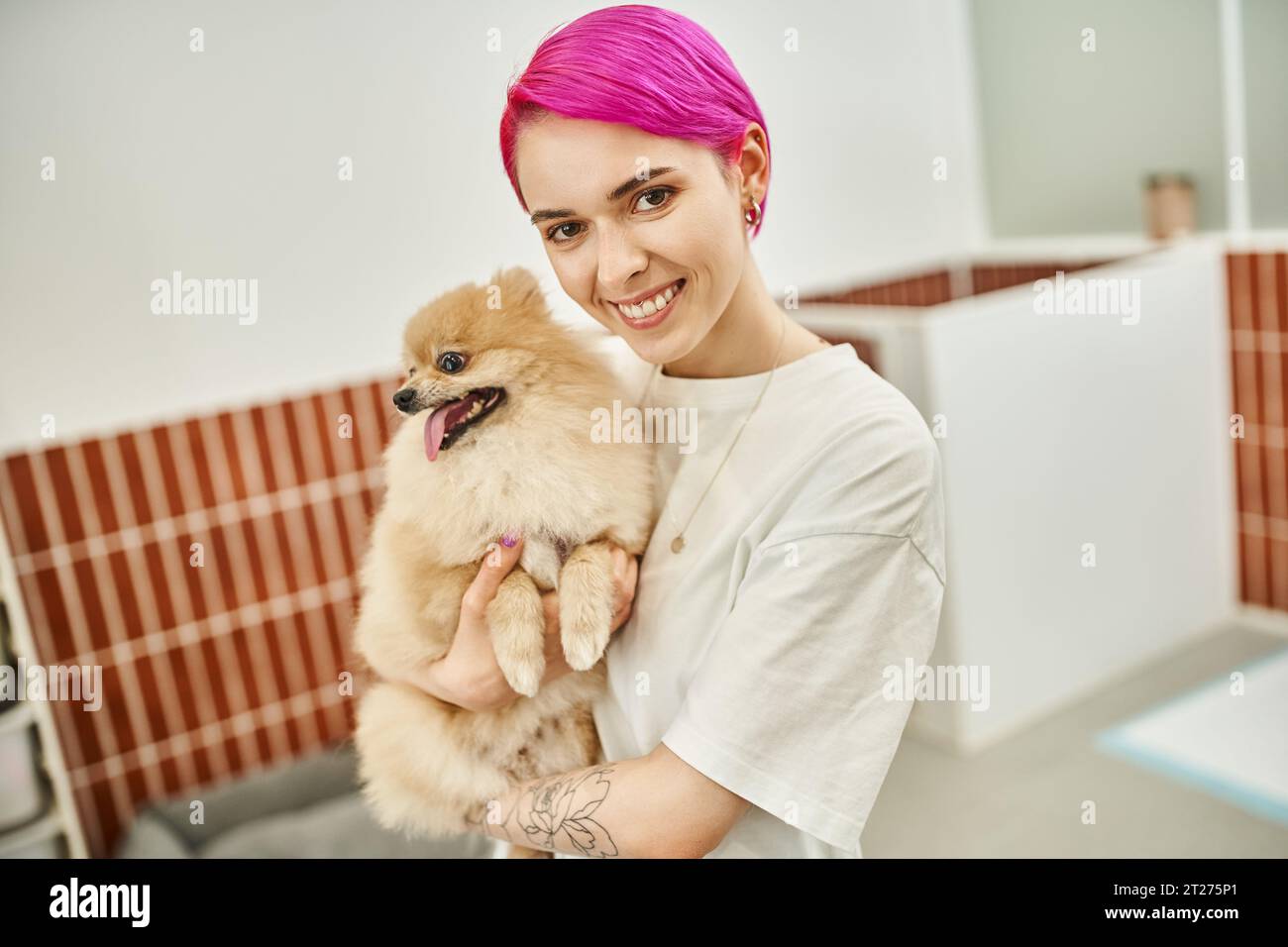 smiling female pet sitter with purple hair holding pomeranian spitz in pet hotel, care and bonding Stock Photo