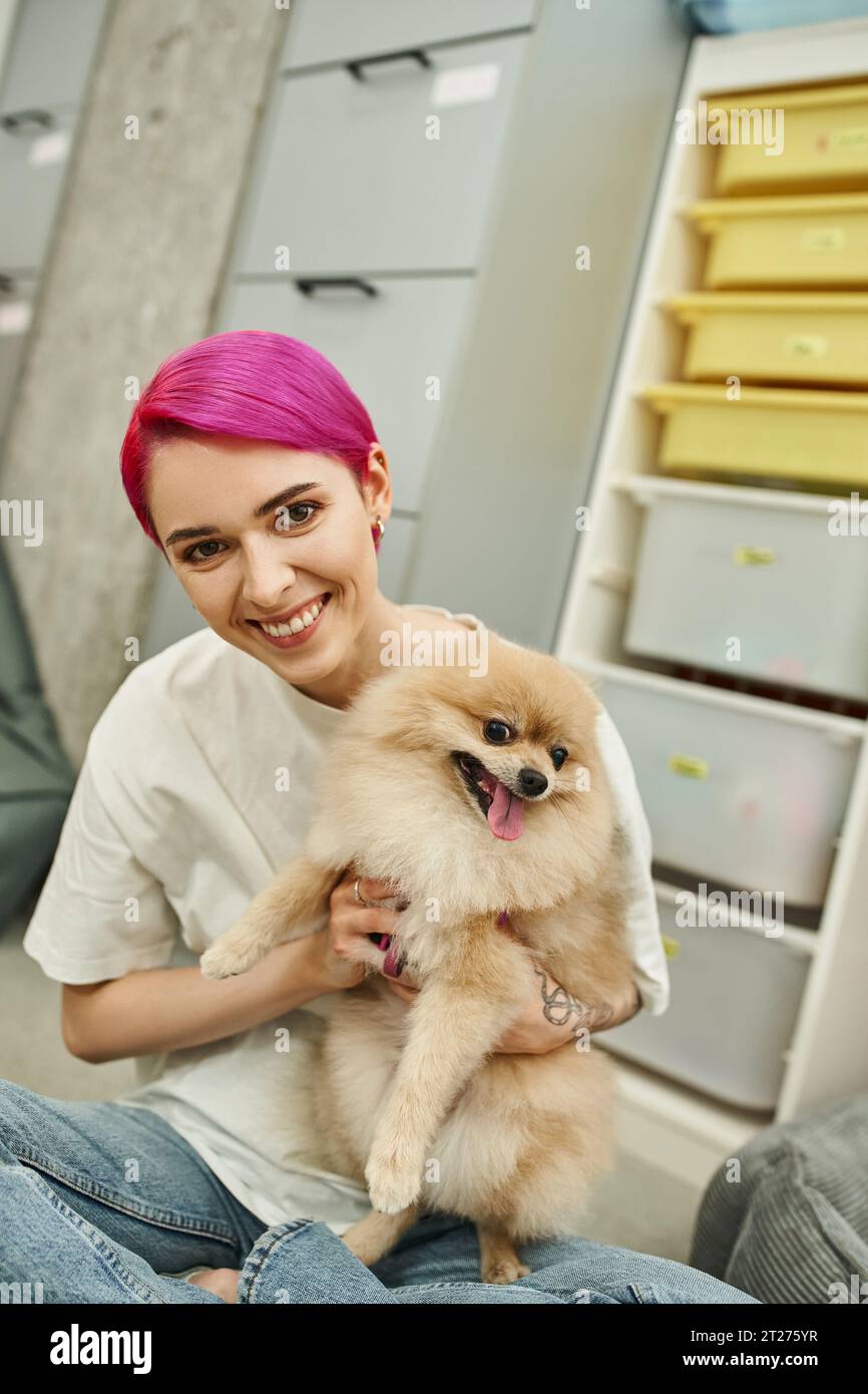 smiling purple-haired dog sitter cuddling pomeranian spitz and looking at camera in pet hotel Stock Photo