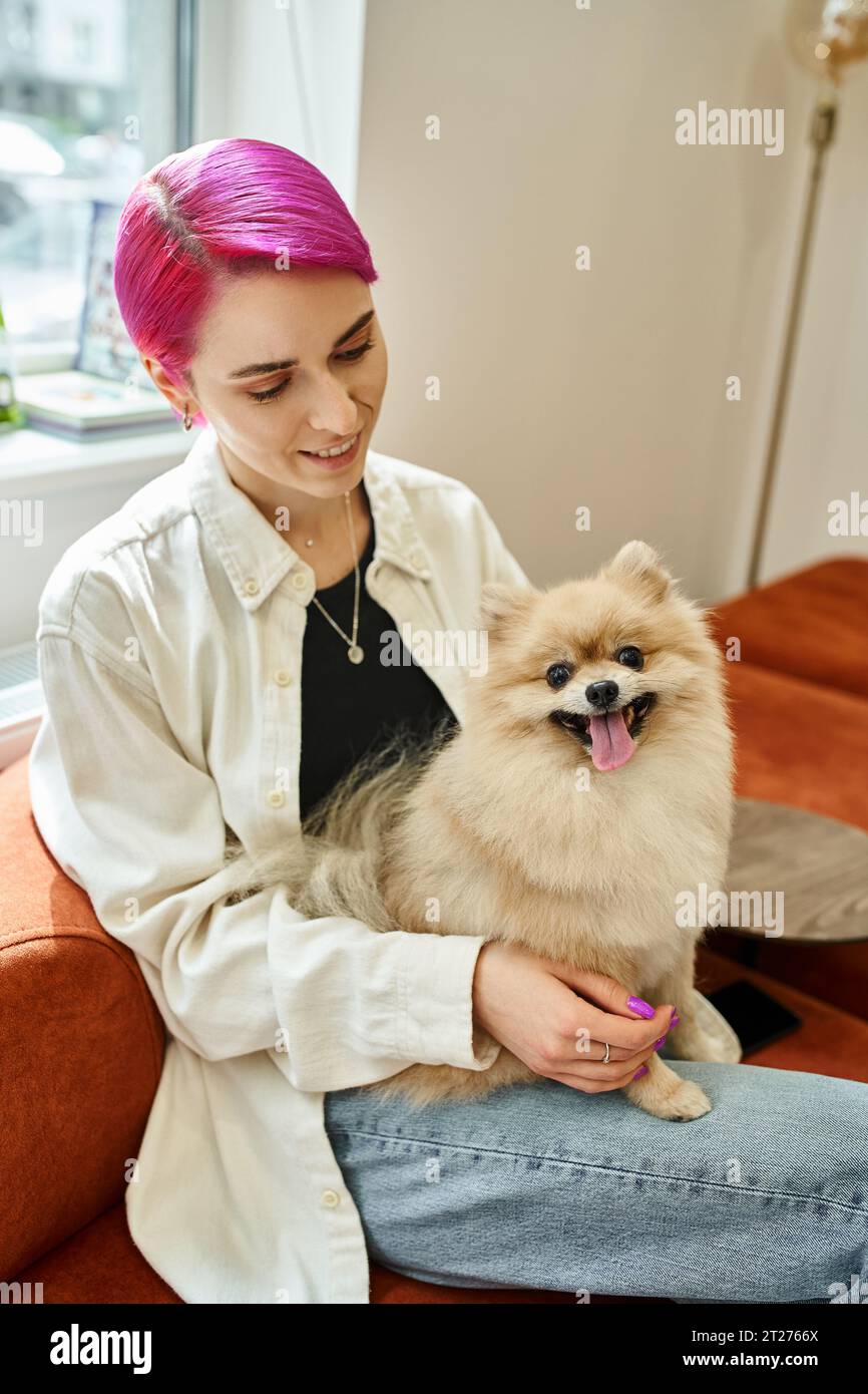smiling purple-haired woman sitting with funny pomeranian spitz in modern dog hotel, pet service Stock Photo