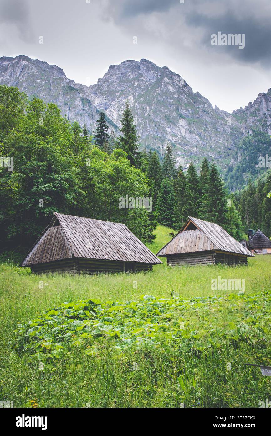 View on Giewont mountain in polish Tatra Mountains with mountain huts in foreground Stock Photo