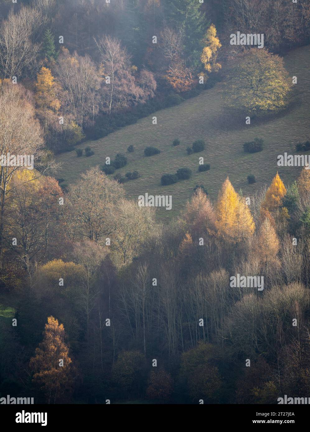 Brown clee hill iron age hi-res stock photography and images - Alamy