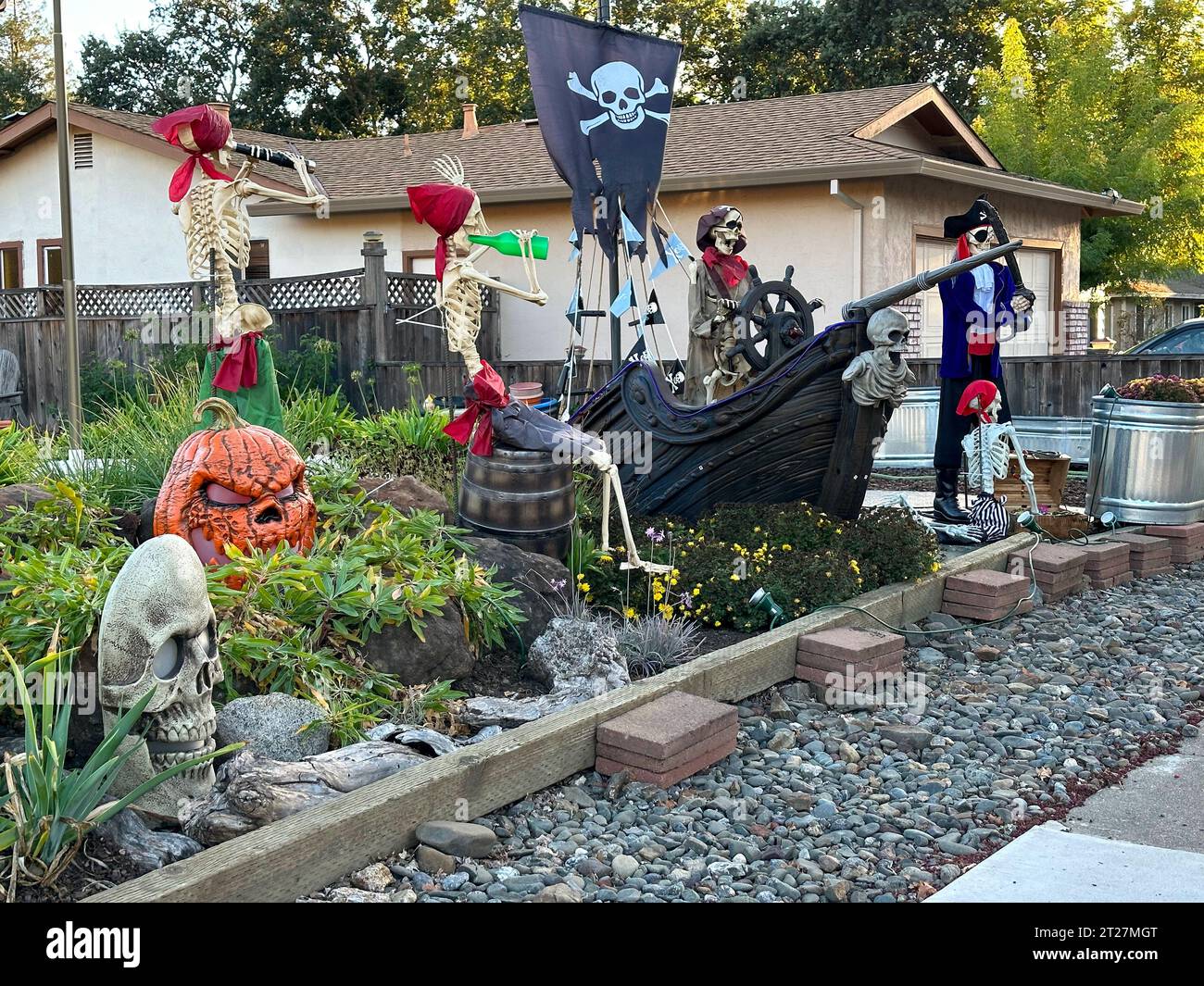 Pirate skeletons hi-res stock photography and images - Alamy