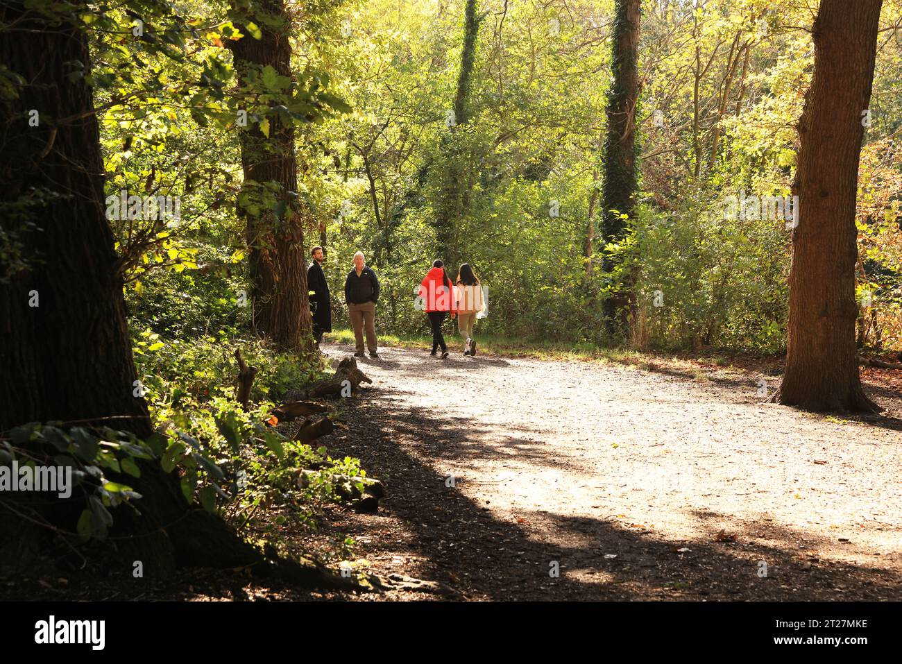 Autumnal weather on the Chestnut Trail in Epping Forest, east London, UK Stock Photo