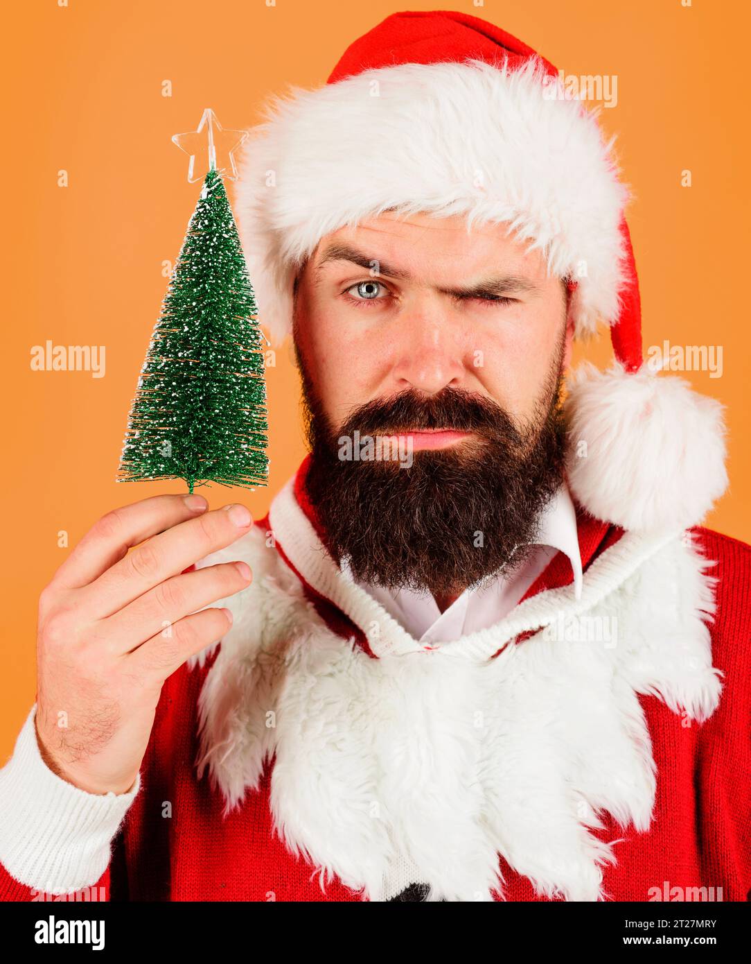 Merry Christmas and Happy New Year. Serious bearded man in Santa costume with small Christmas tree. Christmas, New Year celebration holiday. Santa Stock Photo
